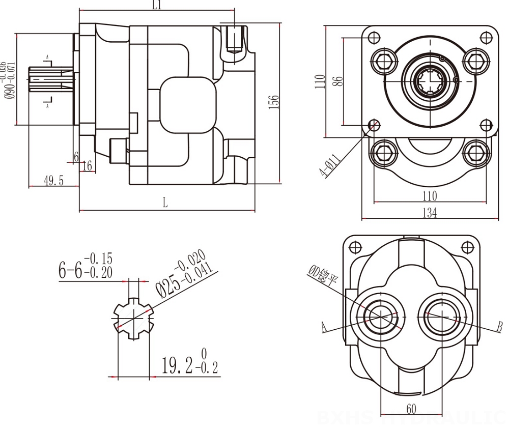 CBHS-F550 50 cc/otáčku Hydraulické čerpadlo s ozubenými koly drawing image