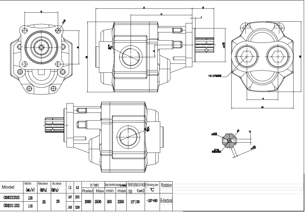 CBHST1-ISO-110 110 cm³/ot. Hydraulické čerpadlo s ozubenými koly drawing image