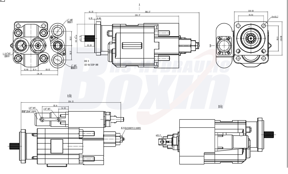 C102 100 cm³/ot. 20 MP (2900 psi) Hydraulické čerpadlo s ozubenými koly drawing image