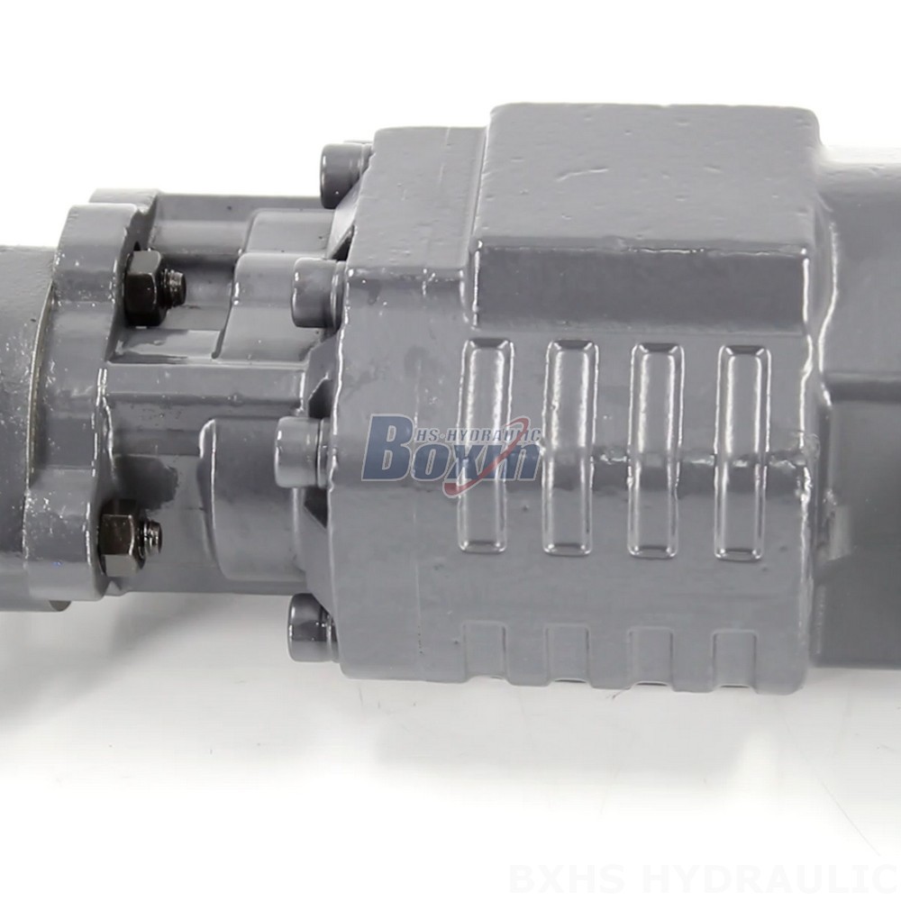BF110A-ZF1 20 MPa Hydraulic Gear Pump for Industrial Systems detail image