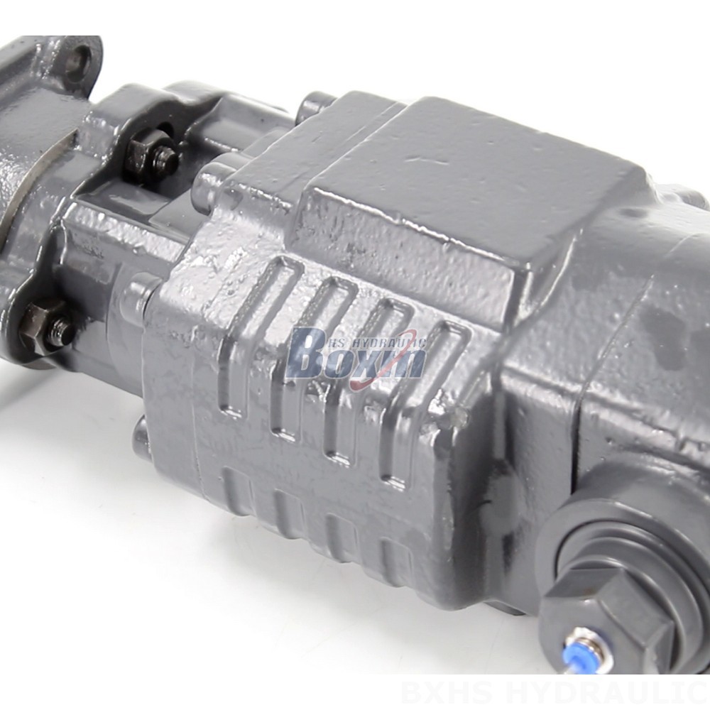 Industrial Hydraulic Gear Pump BF110A-ZF1 20 MPa | Quality Components detail image