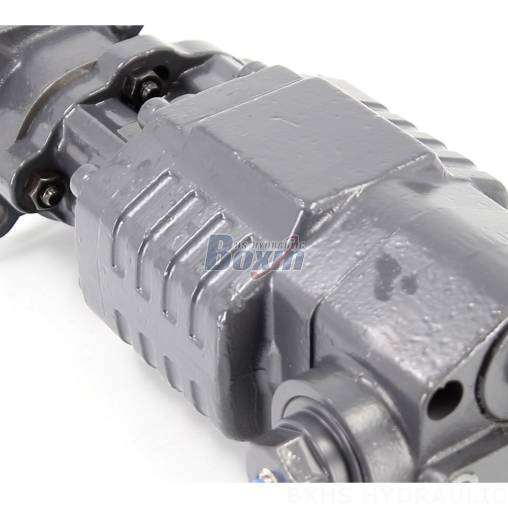 BF110A-ZF1 20 MPa Hydraulic Gear Pump for Industrial Systems detail image