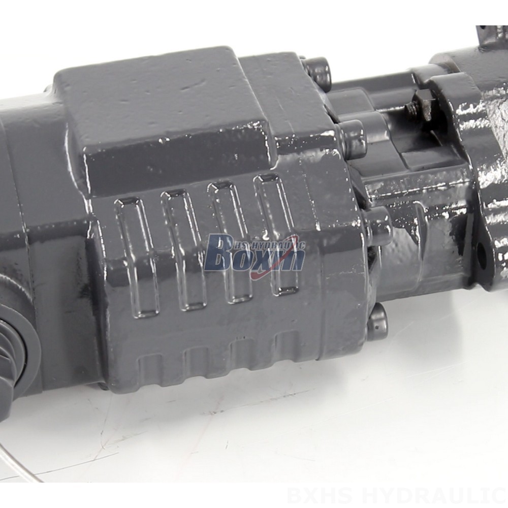 BF110A-ZF1 Hydraulic Gear Pump 20 MPa (2900 psi) for Diverse Needs detail image