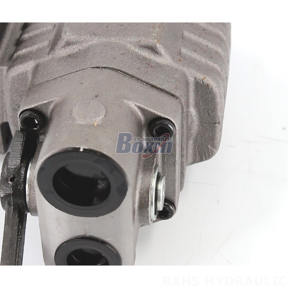 BF110M Hydraulic Gear Pump - Seeking Global Distributors, Wholesalers, and Agents detail image