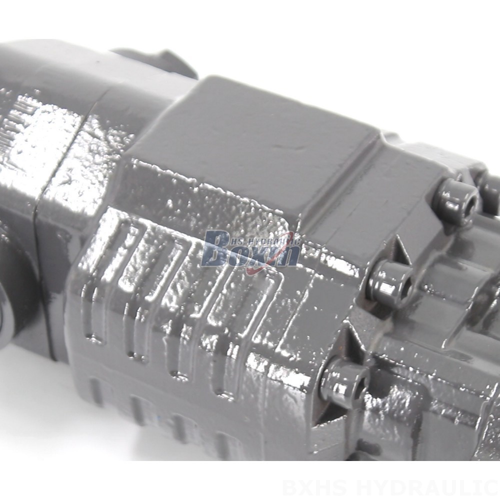 BF82A 20 MPa (2900 psi) Hydraulic Gear Pump: Quality Manufacturing & Supply detail image