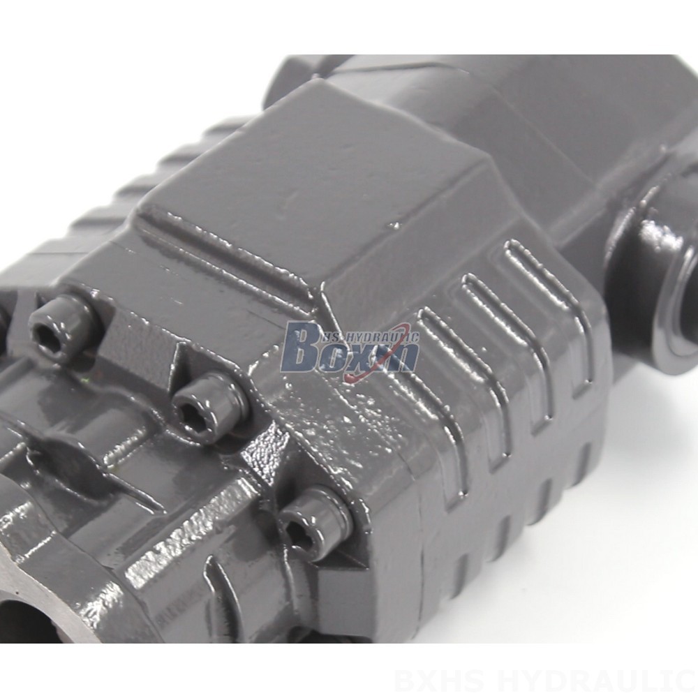BF82A 20 MPa (2900 psi) Hydraulic Gear Pump: Quality Manufacturing & Supply detail image