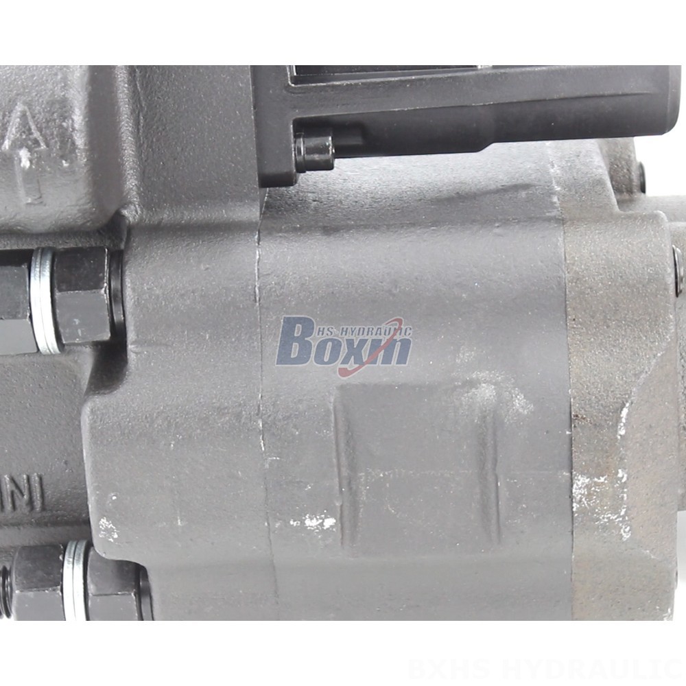C102 112 cc/rev Hydraulic Gear Pump: OEM & ODM Services Available detail image