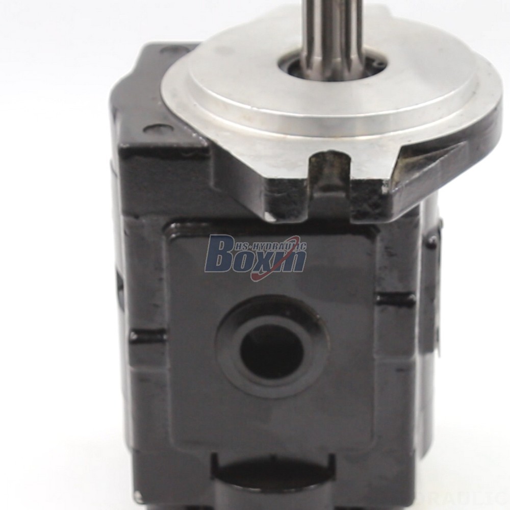 20 cc/rev Hydraulic Gear Pump | Manufacturer & Global Supplier detail image