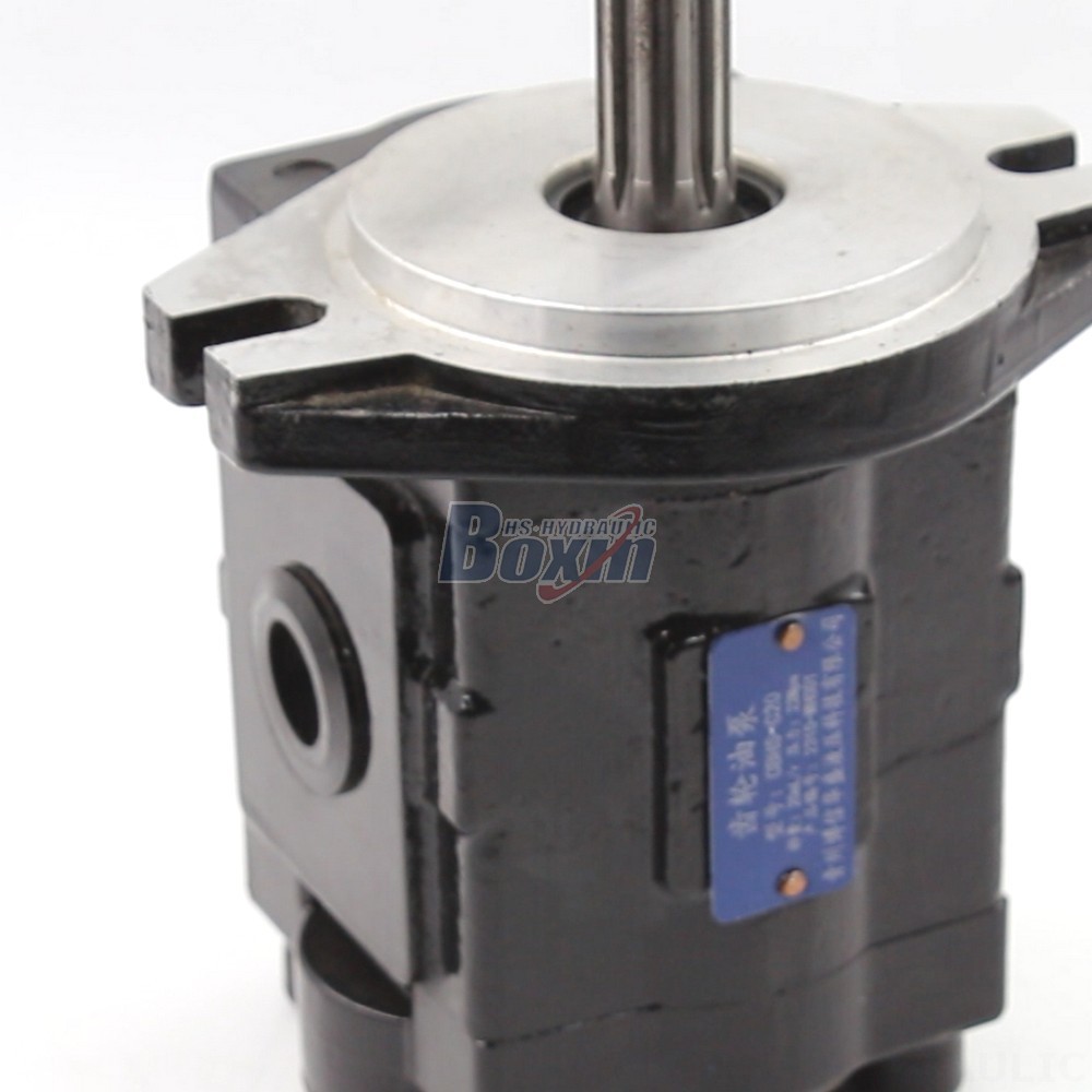 Industrial Hydraulic Gear Pump | Factory Direct & Customizable detail image