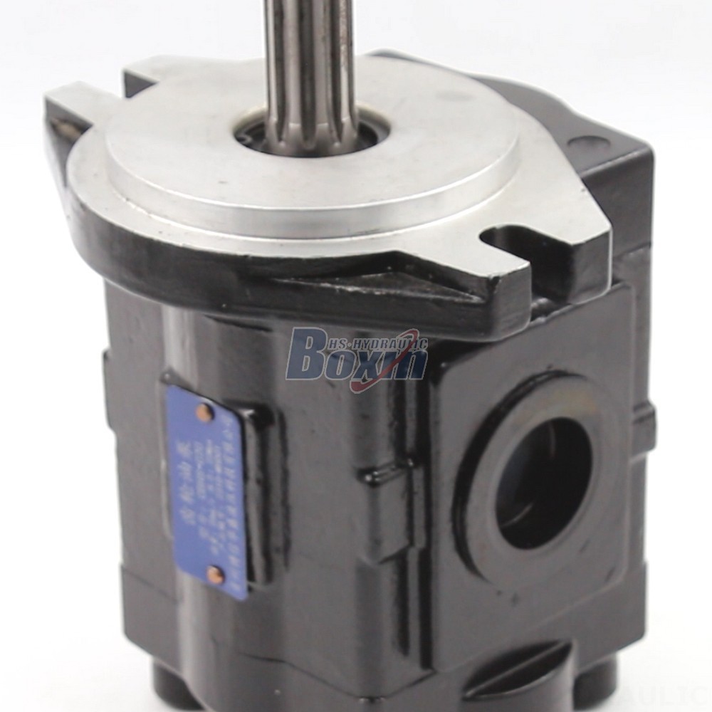 Direct from the Manufacturer: 20 cc/rev Hydraulic Gear Pumps - High Performance & Reliability detail image