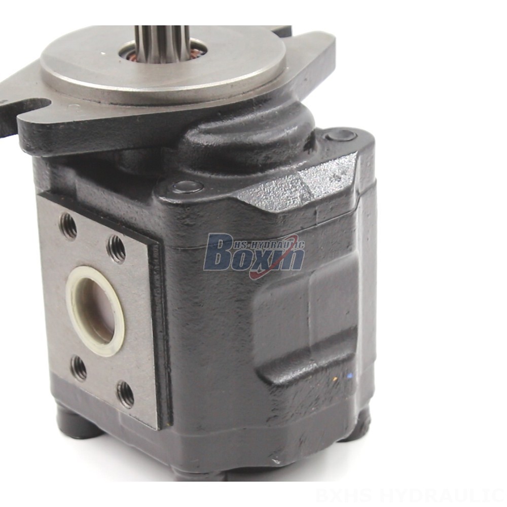 Factory Wholesale Supply: 40 cc/rev Hydraulic Gear Pumps Directly from the Manufacturer detail image