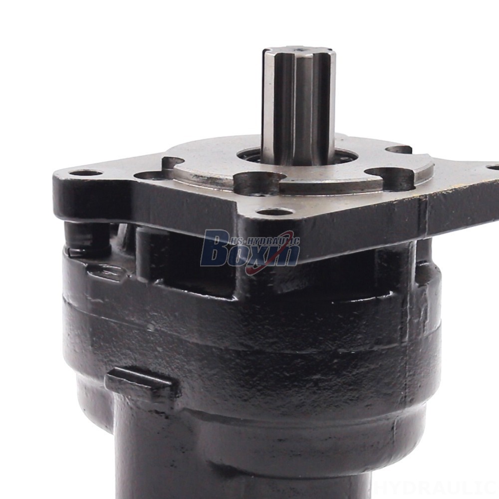 Industrial-Grade Hydraulic Gear Pump: Customized Manufacturing and Distribution detail image
