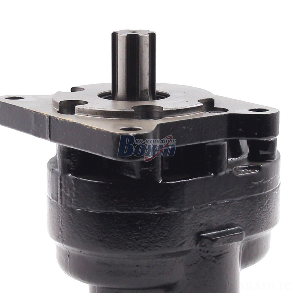 Industrial-Grade Hydraulic Gear Pump: Customized Manufacturing and Distribution detail image