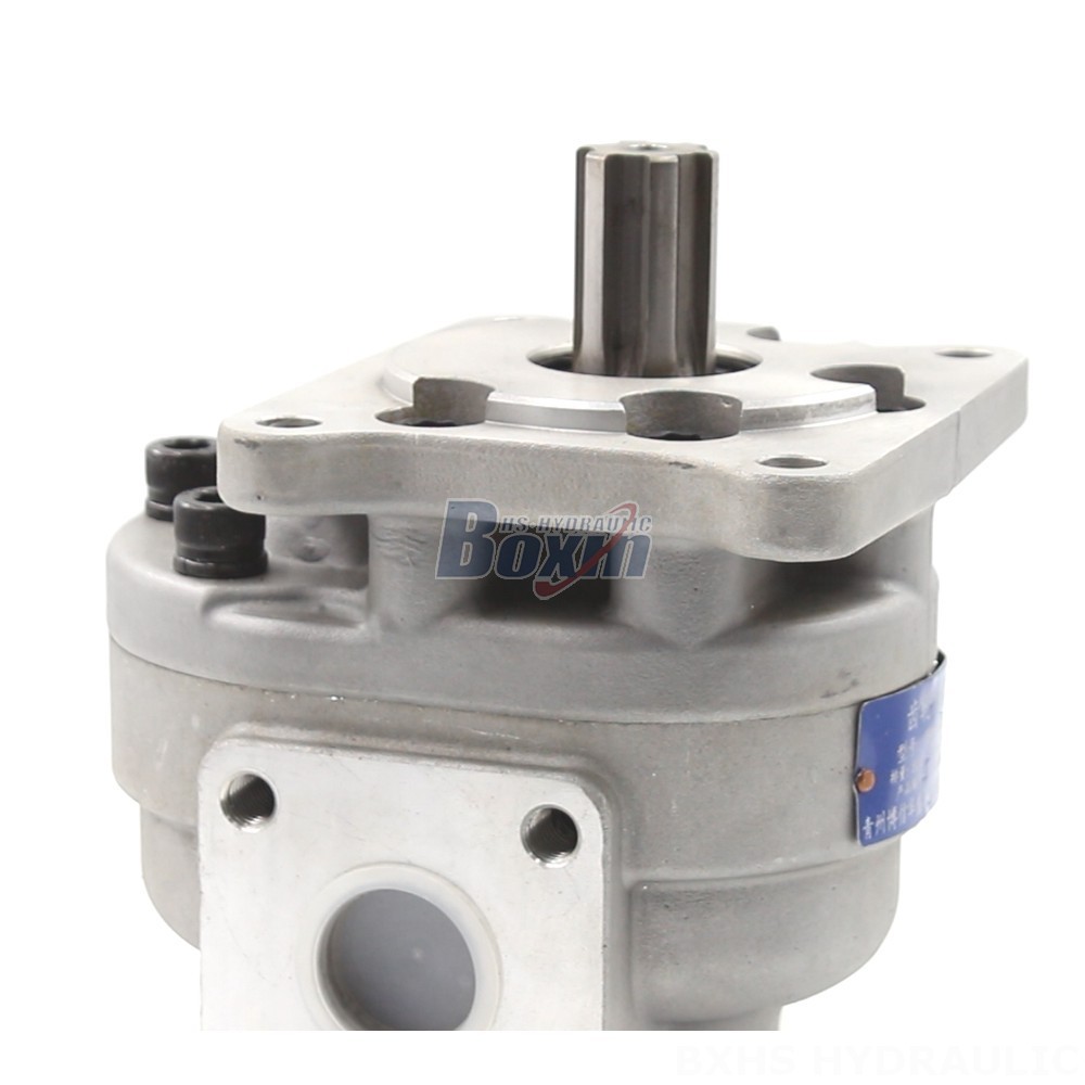 CBHS-F550 Gear Pump OEM/ODM: Tailored Solutions for Your Applications detail image