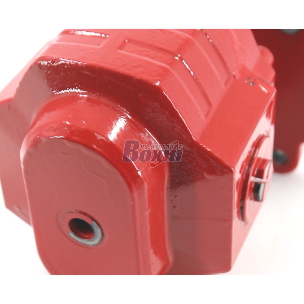 CBHS3100 100 cc/rev Hydraulic Gear Pump Manufacturer Direct Supply detail image