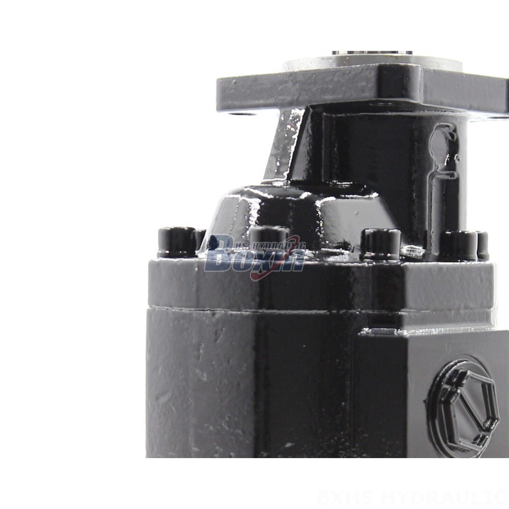 Hydraulic Gear Pumps CBHST1-ISO-63: Quality, Efficiency, Reliability detail image