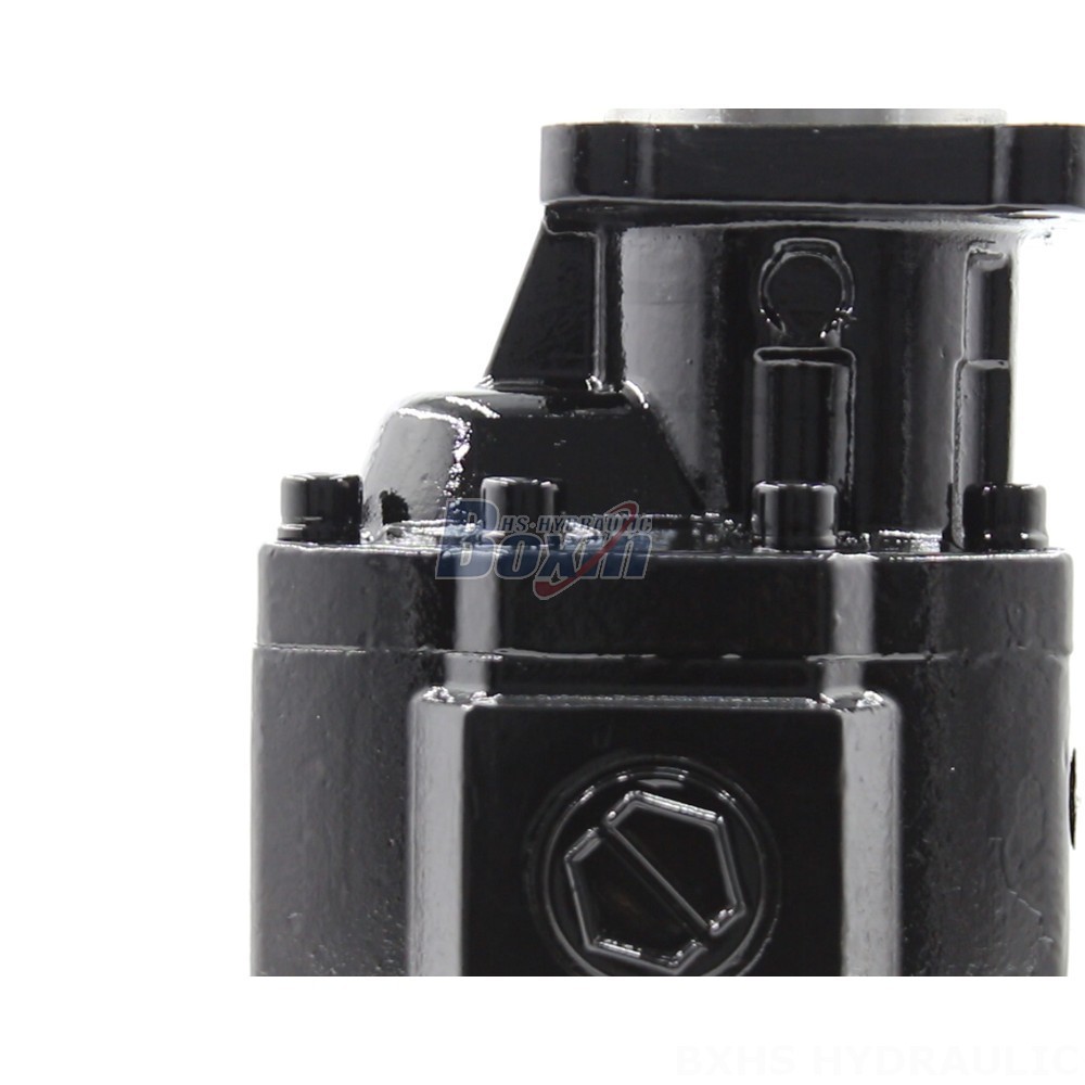 Hydraulic Gear Pumps CBHST1-ISO-63: Quality, Efficiency, Reliability detail image