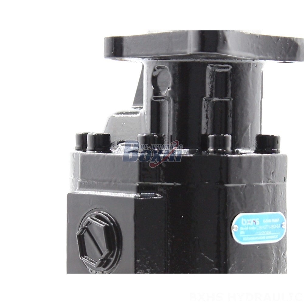 Custom Hydraulic Gear Pumps CBHST1-ISO-63: Engineered to Your Specifications detail image