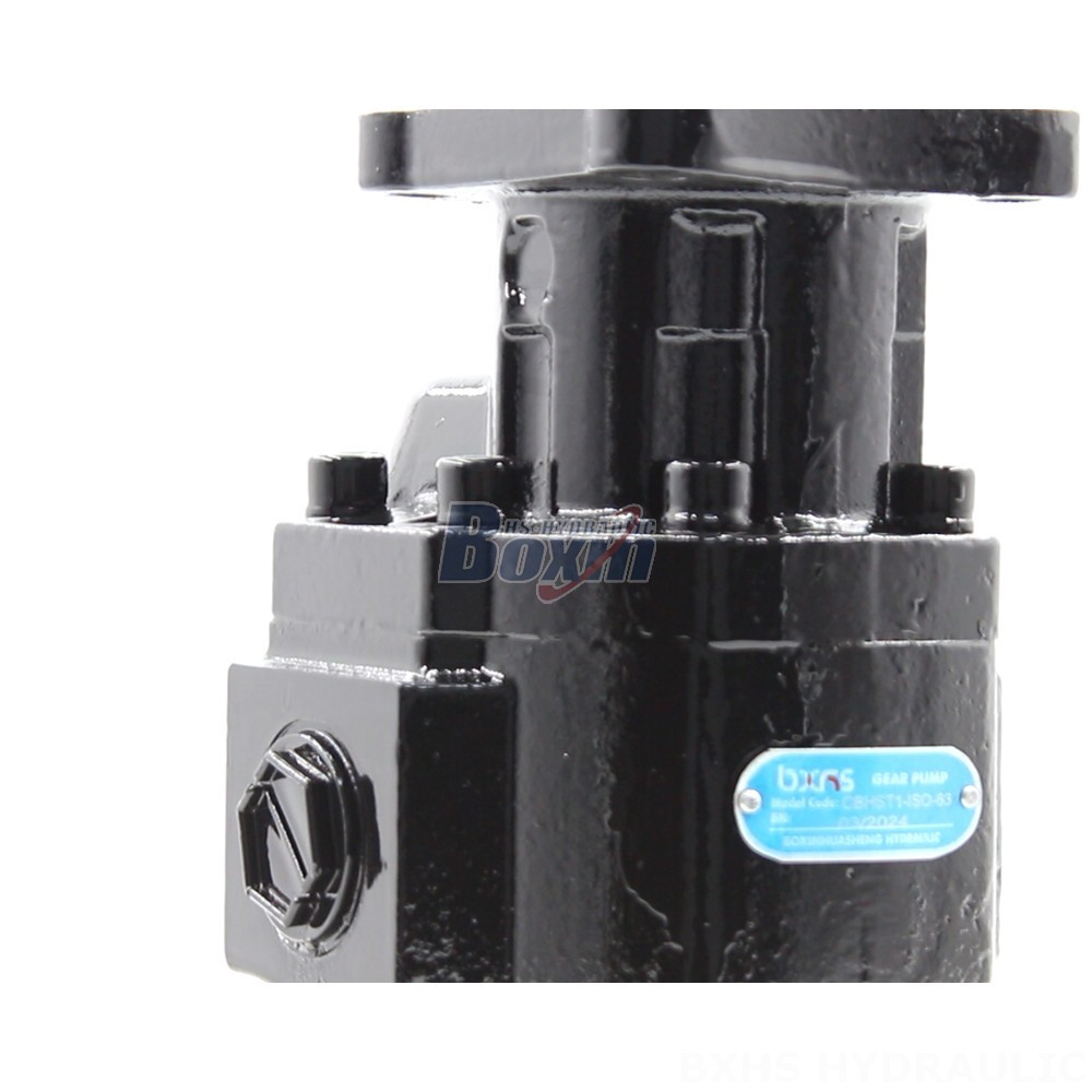 Factory Prices and Exceptional Quality: Choose CBHST1-ISO-63 Pumps Today detail image