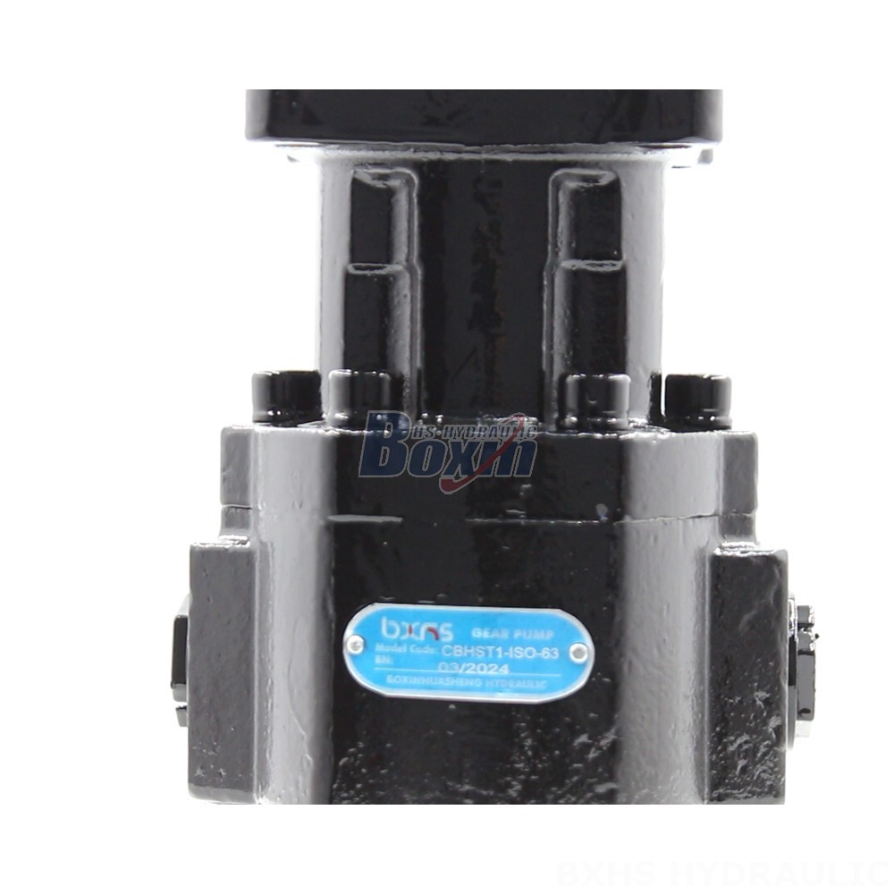Custom Hydraulic Gear Pumps CBHST1-ISO-63: Engineered to Your Specifications detail image