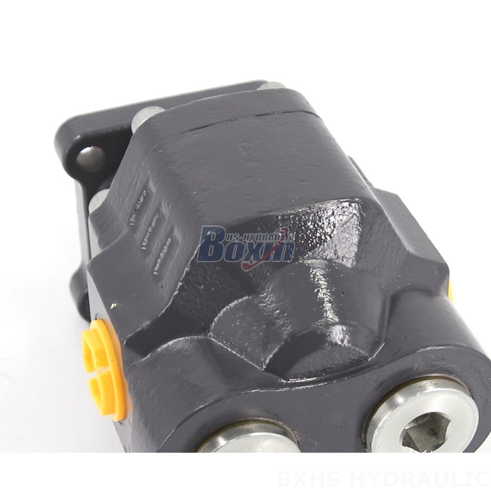 Industrial Hydraulic Gear Pump CBHW-ISO-80-H for Robust Applications detail image