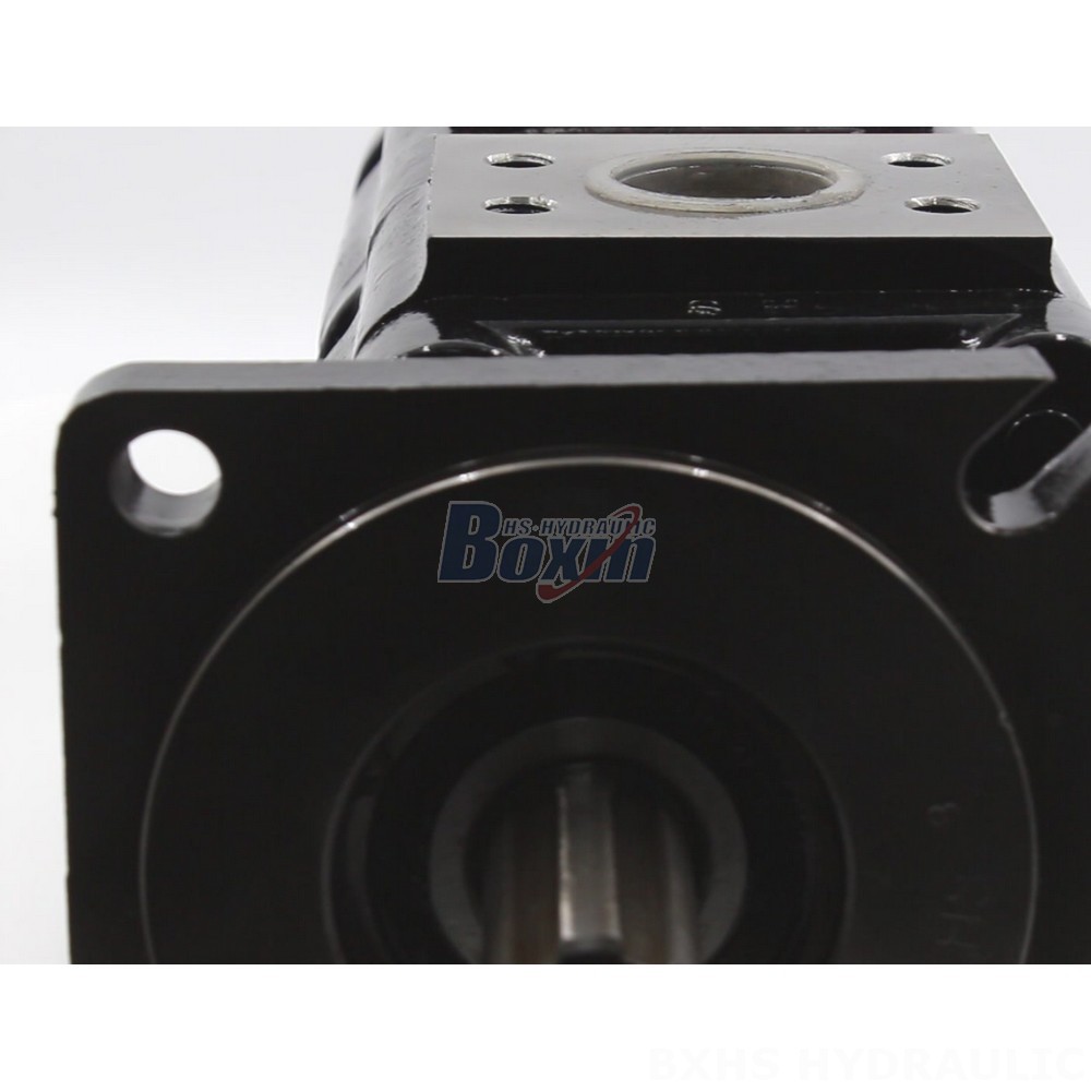 Buy JHP2080-2080-1016 80 cc/rev Hydraulic Gear Pumps Directly from the Manufacturer detail image