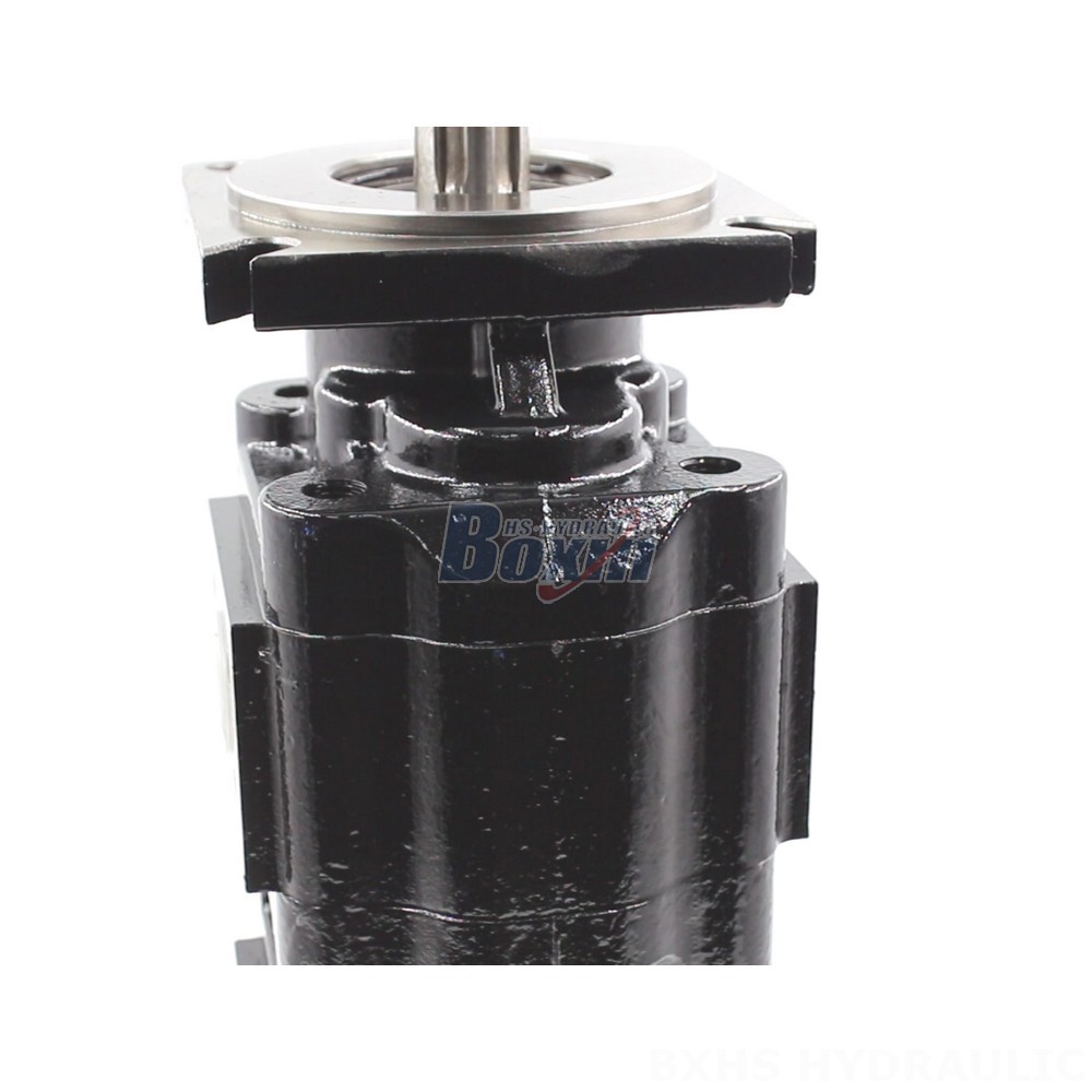 JHP2080-2080 Hydraulic Gear Pump: Distributors & Wholesalers Wanted Globally detail image