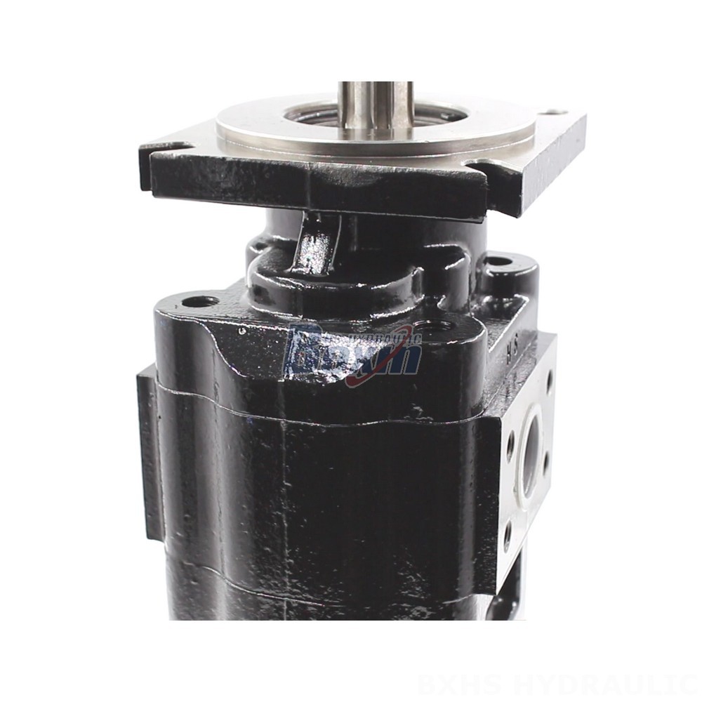 Partnership Opportunities: JHP2080-2080 Hydraulic Gear Pump Distribution detail image