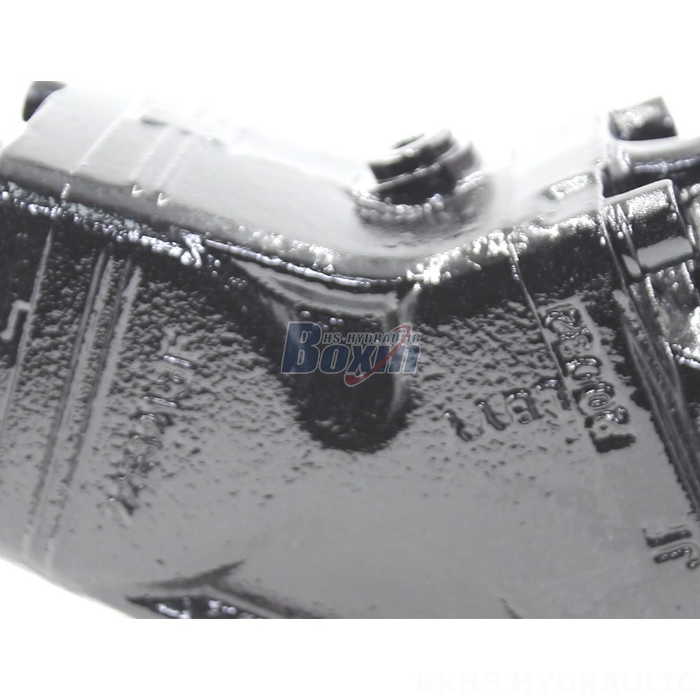 Hydraulic Piston Pump LB-63 - 63cc/rev - Factory Direct Sales detail image