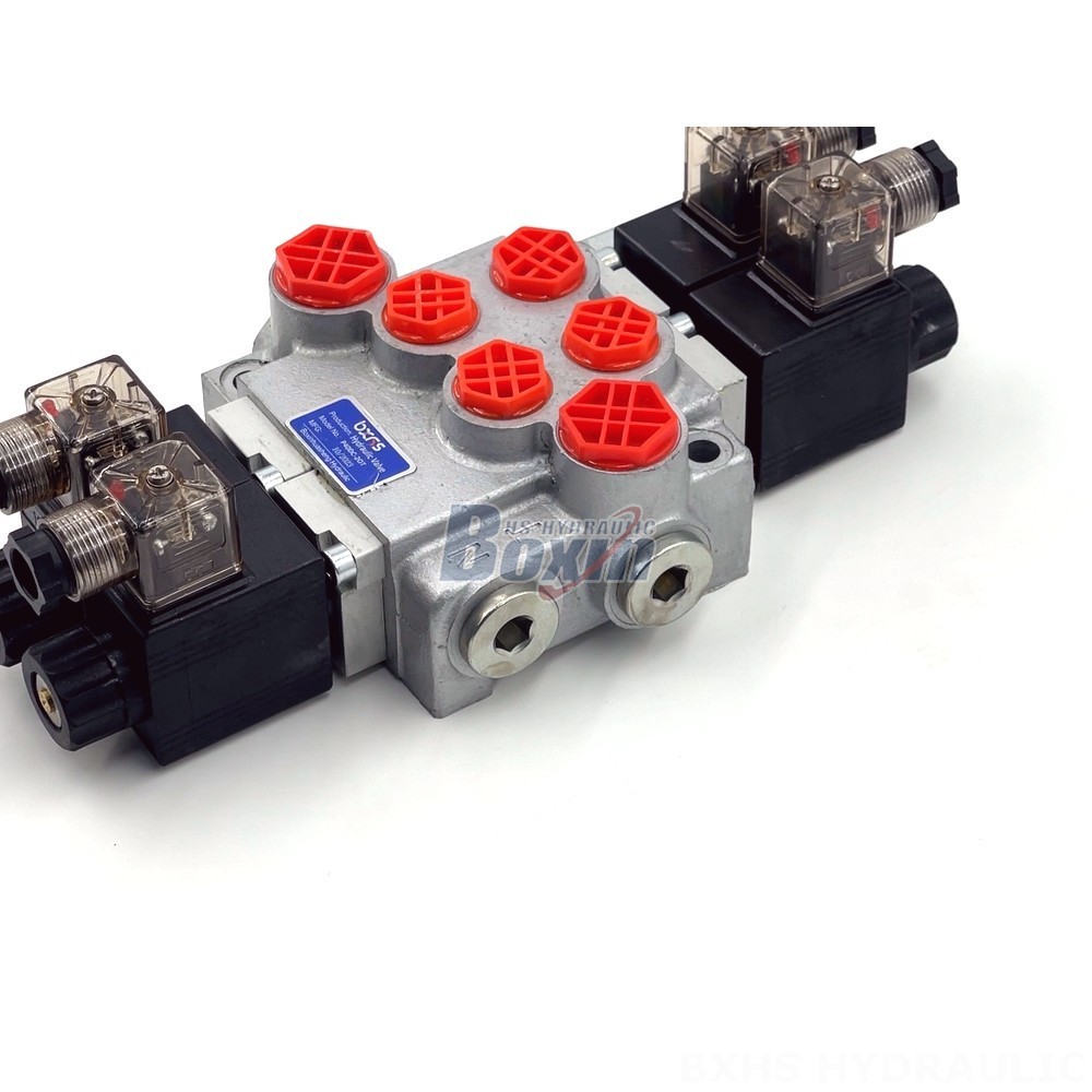 Industrial Solenoid Valve: P40-DKL | Customized Solutions & Engineering Support detail image