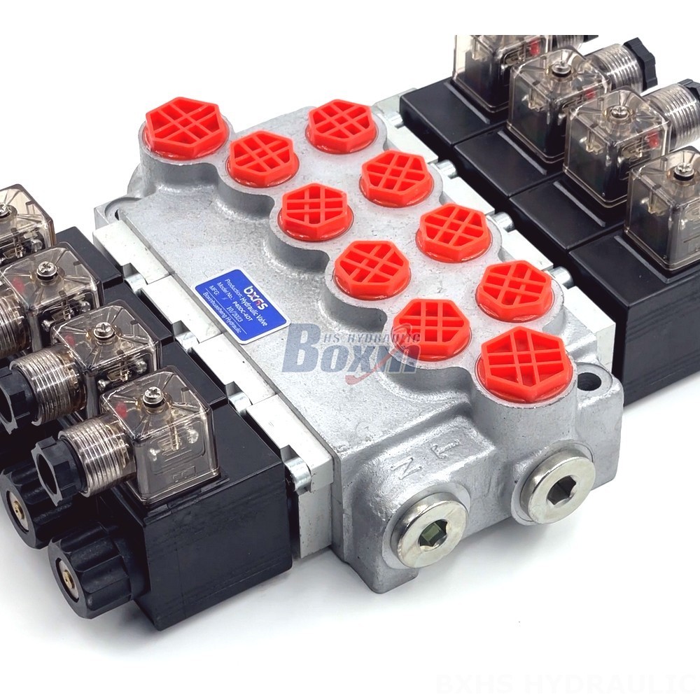 OEM & Private Label Services: Customize P40-DKL Valves to Your Brand detail image