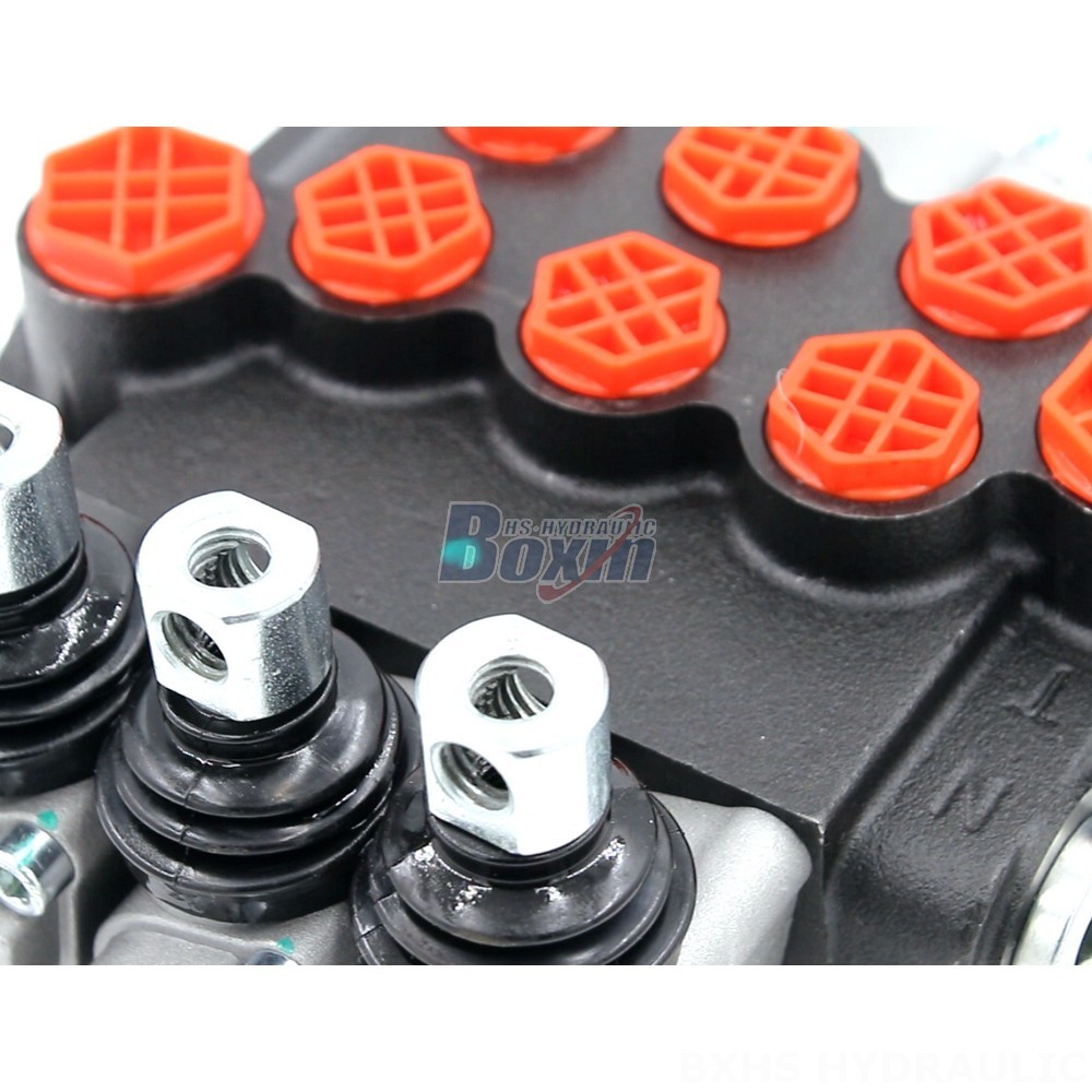 Manufacturer of P40-G12-G38-OT-OT-OT Monoblock Valves: Wholesale & Customization Available detail image