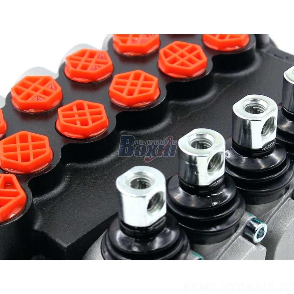 Factory Authorized Distribution: Ensure Genuine P40-G12-G38 Valves and Support detail image