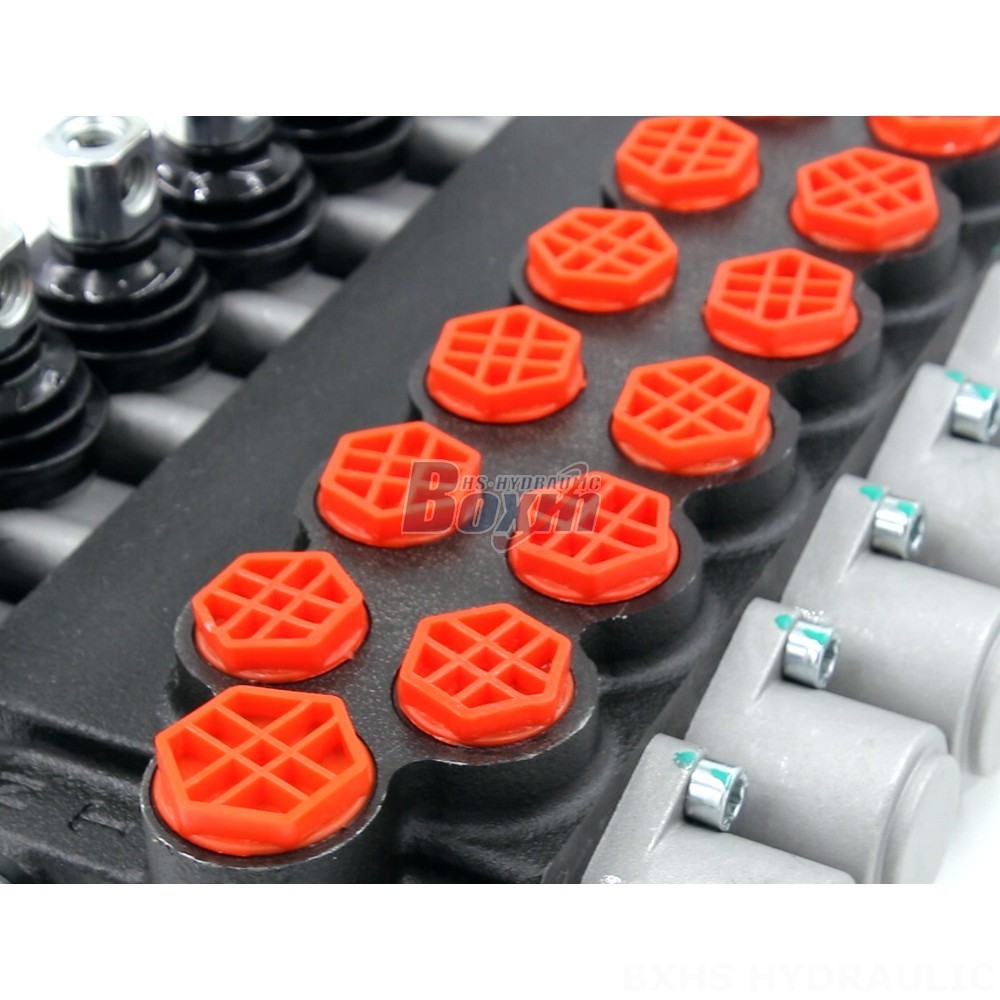 Private Label Hydraulic Valves | Enhance Your Brand Value with P40-G12-G38 Valves detail image