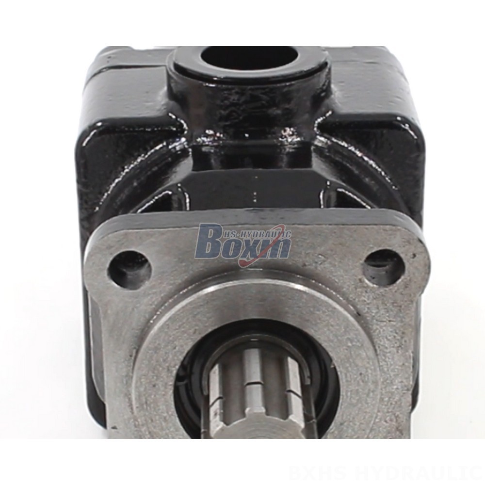 P6-40 40cc/rev Hydraulic Pump: Reliable Performance, Global Distribution detail image