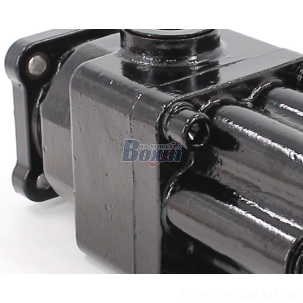 P6-40 40 cc/rev Hydraulic Piston Pump: OEM & ODM Services Available, Customization Options detail image