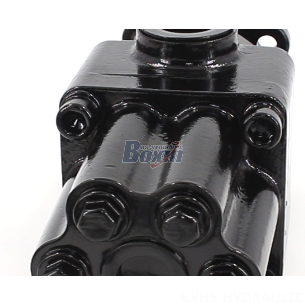 P6-40 40 cc/rev Hydraulic Piston Pump: OEM & ODM Services Available, Customization Options detail image