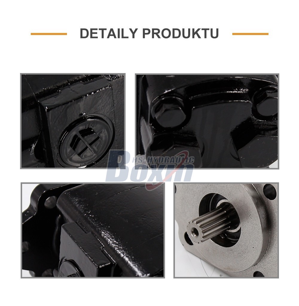 Global Partnership Opportunity for P21A646JEAL20-25 64.6 cc/rev Hydraulic Gear Pump Distribution