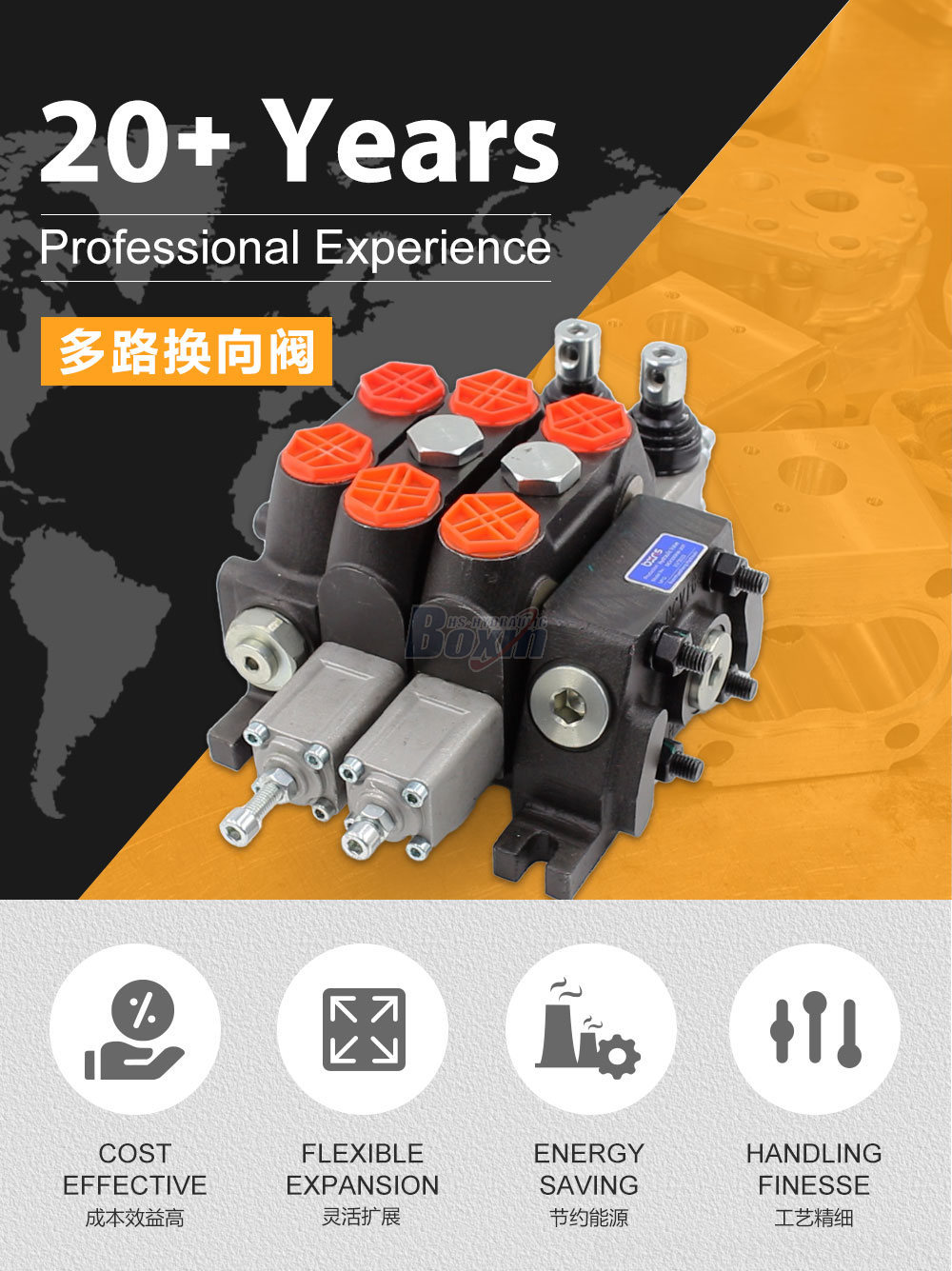 Dual-Spool Hydraulic Valve | DCV100 Model | Factory Direct & Customizable