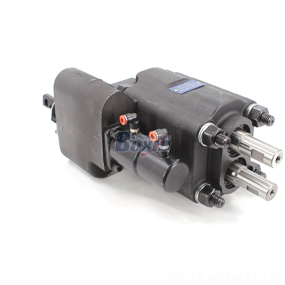 C101-25-LAS Hydraulic Gear Pump: OEM & ODM Services Available - Customization Options cover photo