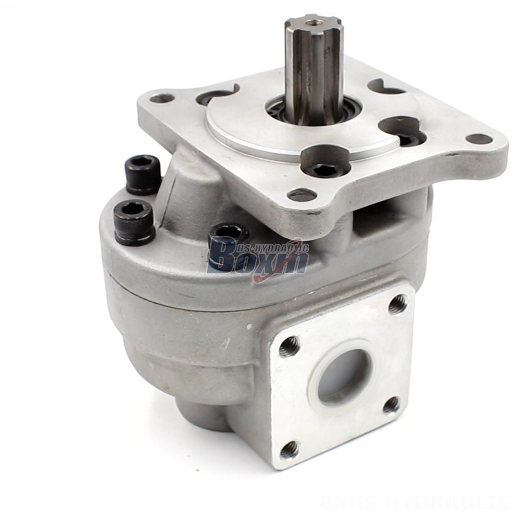 CBHS-F550 50 cc/rev Gear Pump: Innovative Hydraulic Solutions cover photo