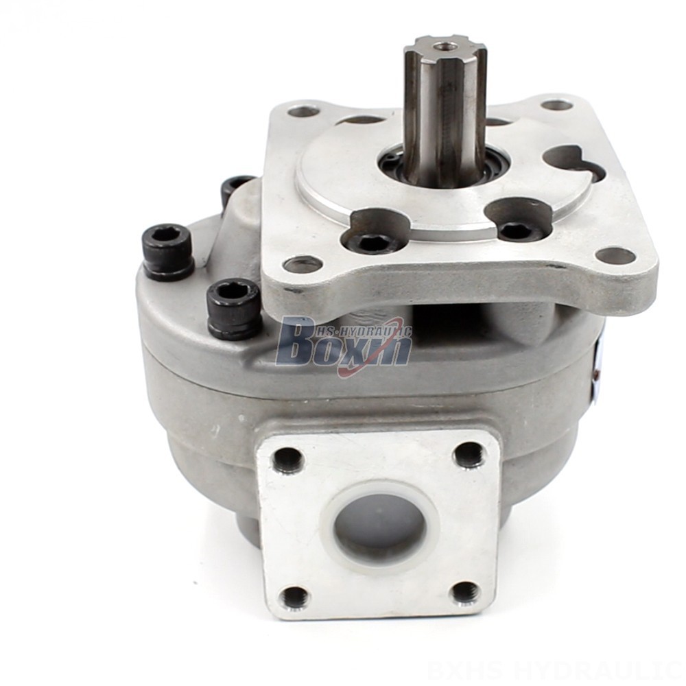 CBHS-F550 Gear Pump OEM/ODM: Tailored Solutions for Your Applications cover photo