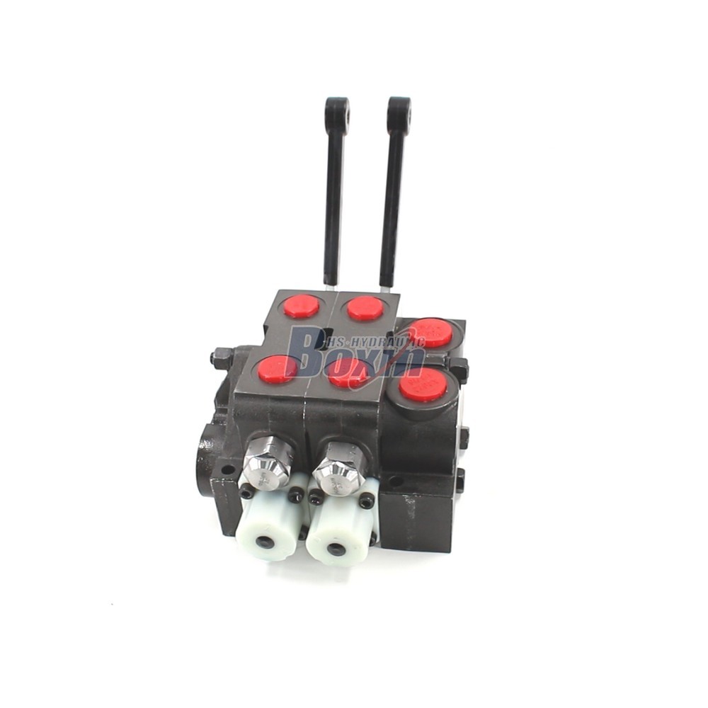HSV20 Manual 2 Spool Sectional Directional Valve for Hydraulic Systems main image