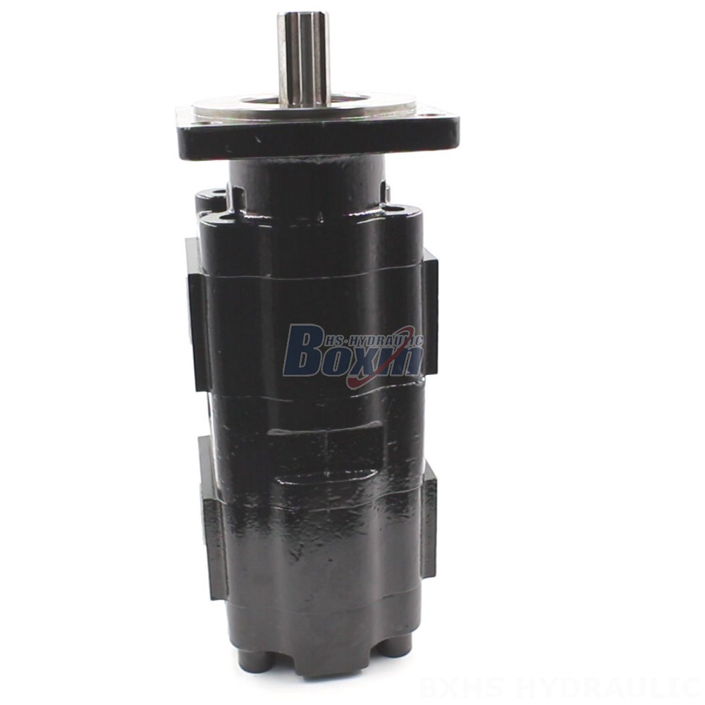 Partnership Opportunities: JHP2080-2080 Hydraulic Gear Pump Distribution main image