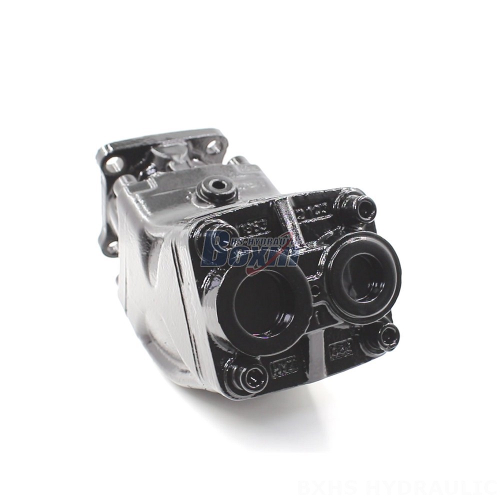 LB-63 63 cc/rev Hydraulic Piston Pump: OEM & ODM Services Available cover photo