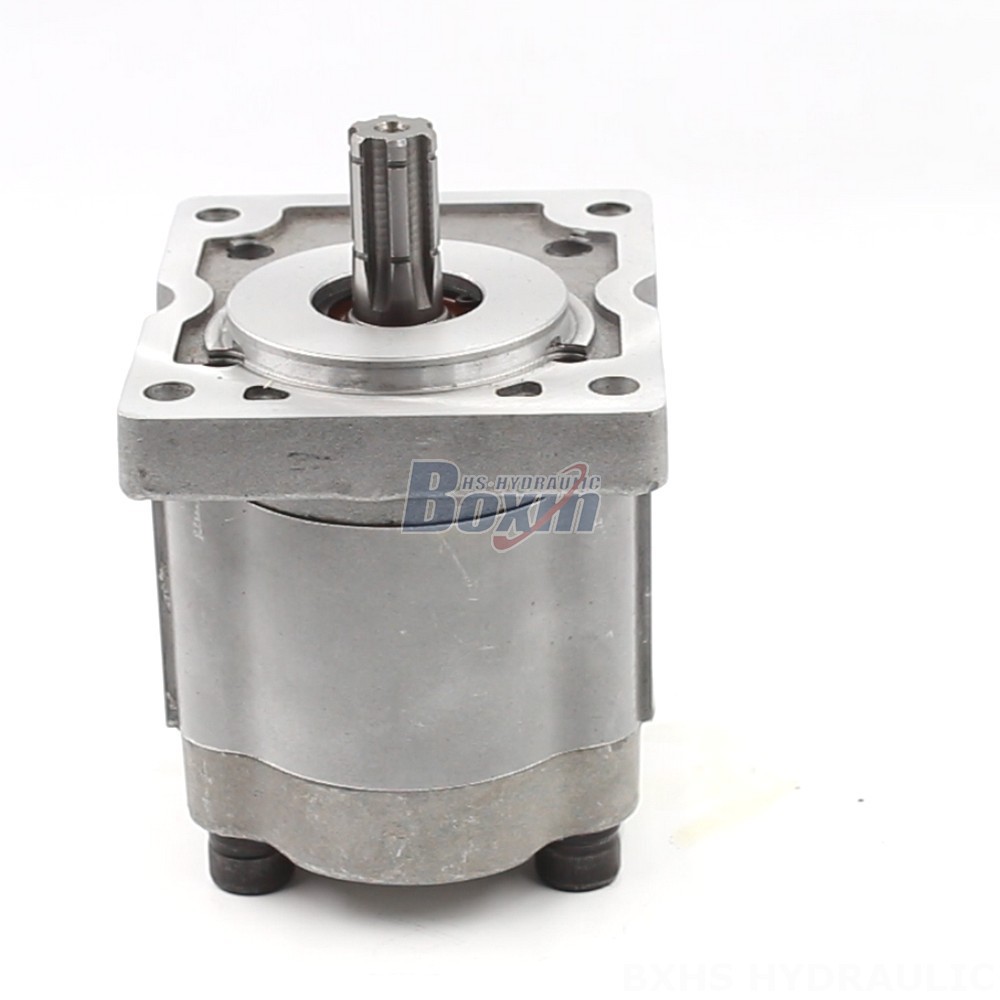 NSH-10 10 cc/rev Gear Pump: Technical Data, Applications, and Expert Support main image