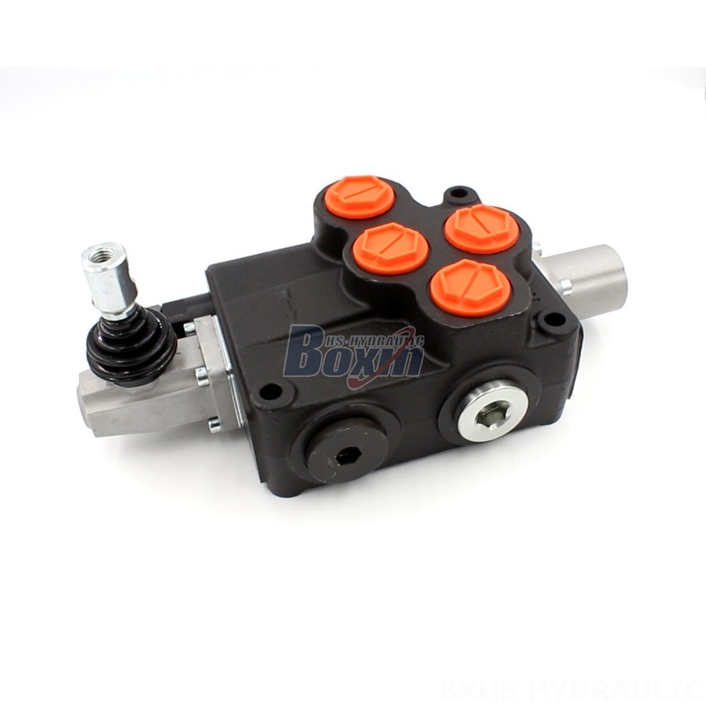 Directional Control Valve Solutions: P120-G1-OT Monoblock Valve | OEM & ODM main image