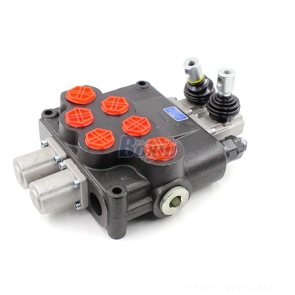 P120 Valves:  Flexible Manufacturing Options - OEM, ODM, Private Label cover photo