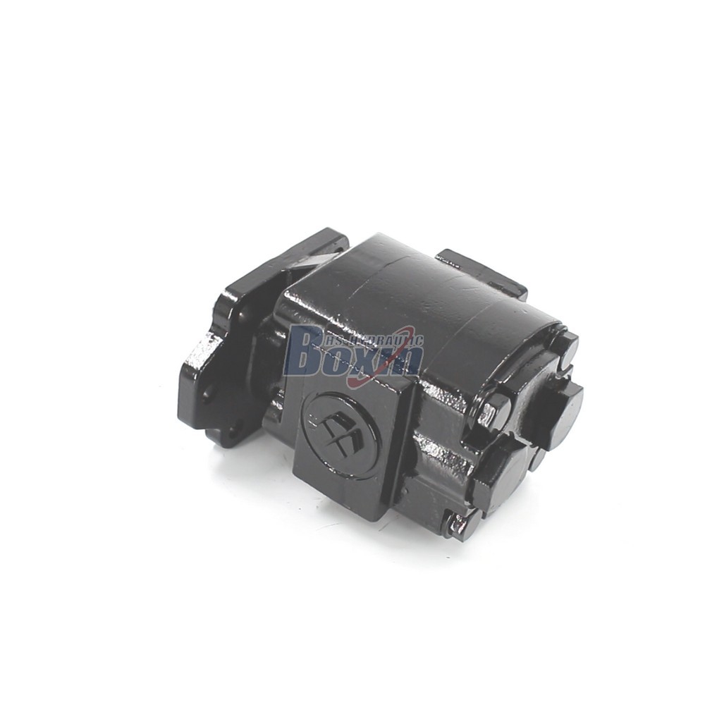 OEM ODM Custom Service for P21A646JEAL20-25 64.6 cc/rev Hydraulic Gear Pump Manufacturing cover photo