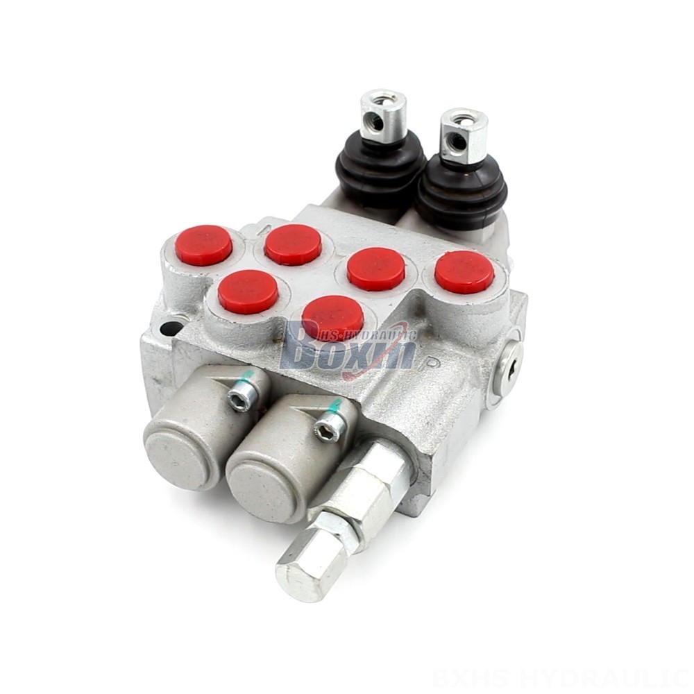 P40-DKL Manual 2 Spool Monoblock Directional Valve: Manufacturer & Supplier cover photo